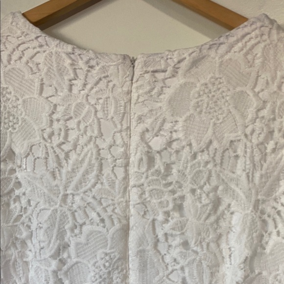 SANDRA DARREN EMBROIDERED LACE Crochet SHEATH DRESS size 12 white - Picture 7 of 13
